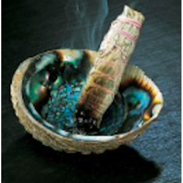 Abalone Shell medium/lge with free white sage smudge